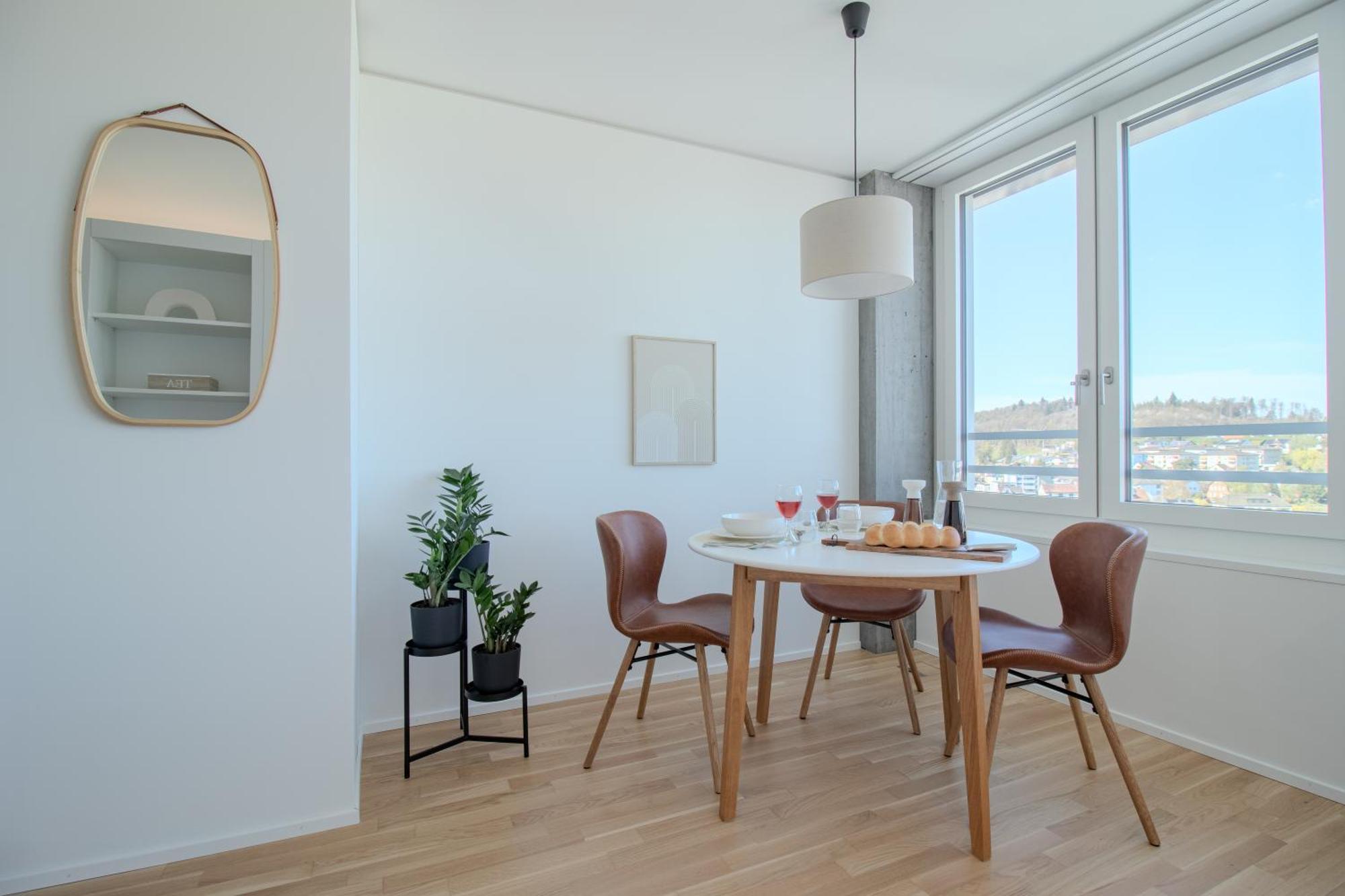 Loewe Apartments Am Rheinfall Neuhausen Am Rheinfall Dış mekan fotoğraf
